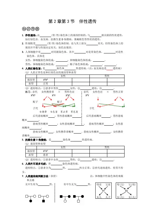 2.3伴性遗传导学案高一下学期生物人教版必修二