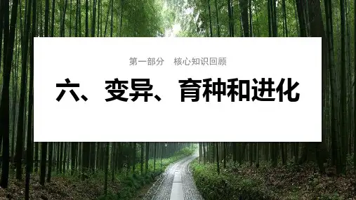 2024届高考生物二轮复习课件 第二篇 第一部分 六、变异、育种和进化