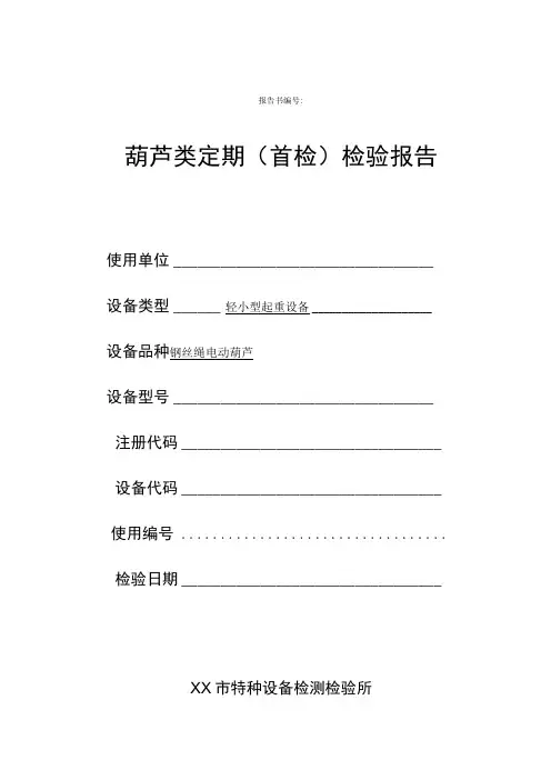 电动葫芦定期检验报告