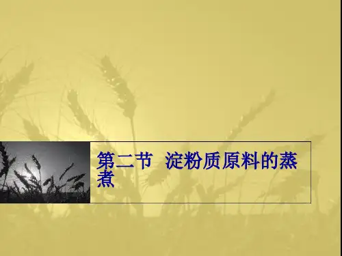 第四章淀粉质原料的蒸煮