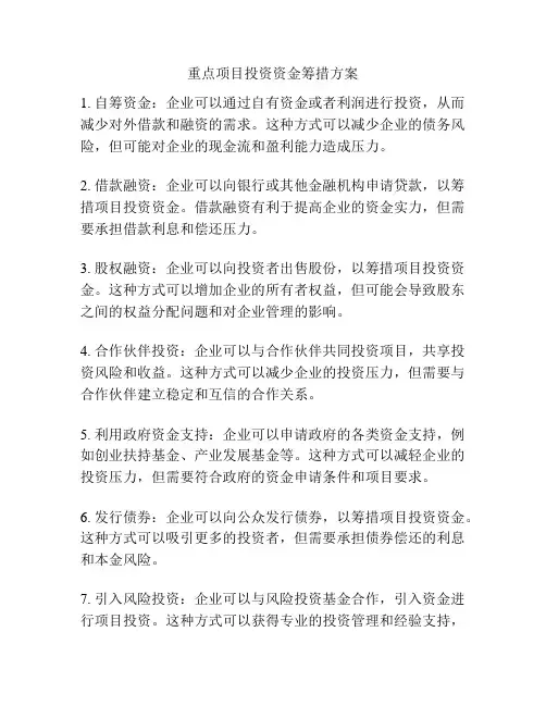 重点项目投资资金筹措方案