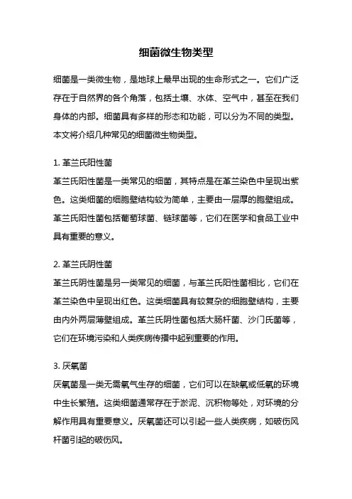 细菌微生物类型