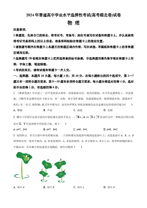 2024年普通高中学业水平选择性考试(高考湖北卷)物理试卷(附答案)