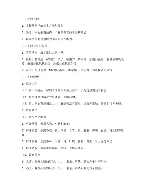 解剖大鼠的实验报告