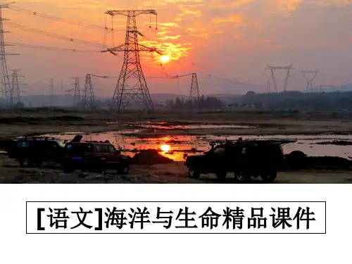 最新[语文]海洋与生命精品课件PPT课件