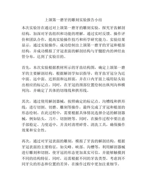 上颌第一磨牙的雕刻实验报告小结