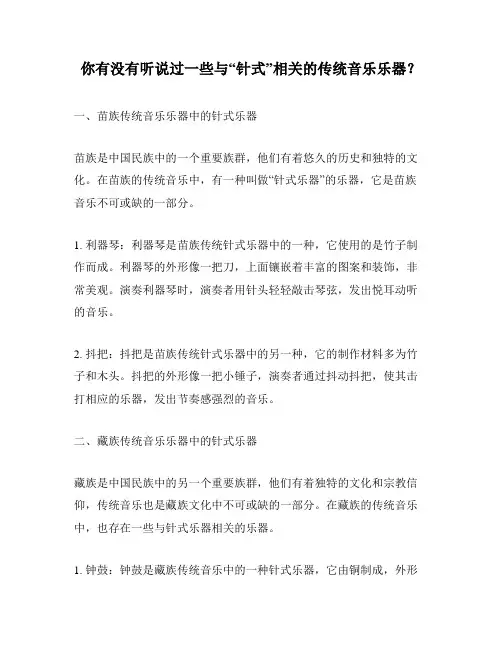 你有没有听说过一些与“针式”相关的传统音乐乐器？