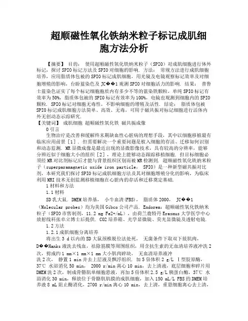 超顺磁性氧化铁纳米粒子标记成肌细胞方法分析
