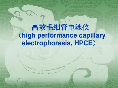 高效毛细管电泳仪ppt课件