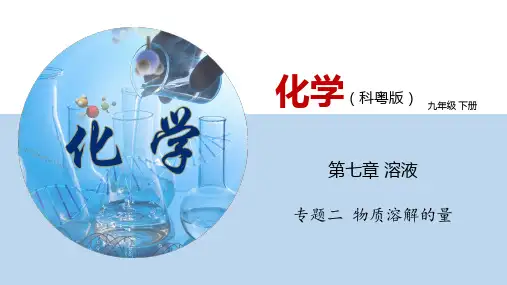 专题  物质溶解的量(课件)九年级化学下册(科粤版)