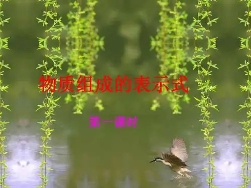 广西中考化学总复习课件：3.4《物质构成的表示式》ppt