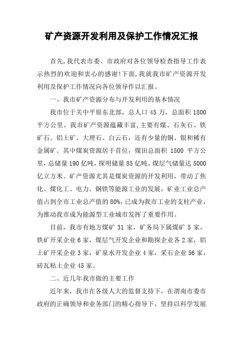 矿产资源开发利用及保护工作情况汇报