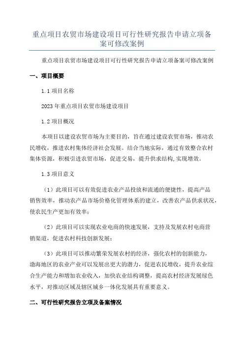 重点项目农贸市场建设项目可行性研究报告申请立项备案可修改案例