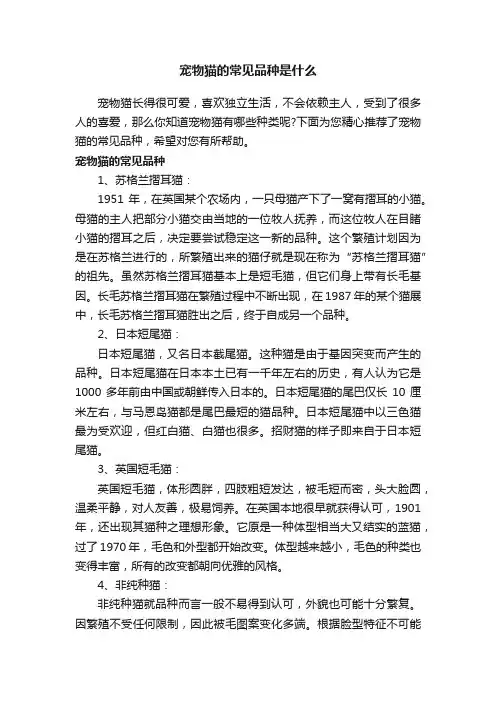 宠物猫的常见品种是什么