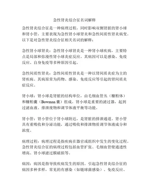 急性肾炎综合征名词解释