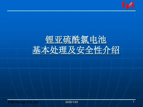 锂亚硫酰氯电池处理及安全性(祝媛)