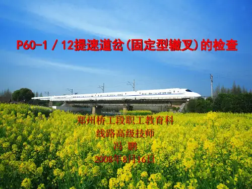 P60-12TS道岔(固定型)检查