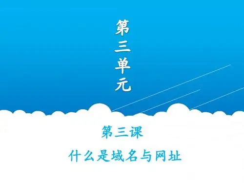广东省汕头市龙湖实验中学七年级信息技术课件：3.3什么是域名和网址(共18张PPT)