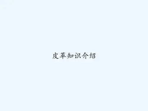 皮革知识介绍 PPT