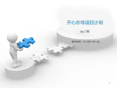 开心农场商业计划书 PPT课件