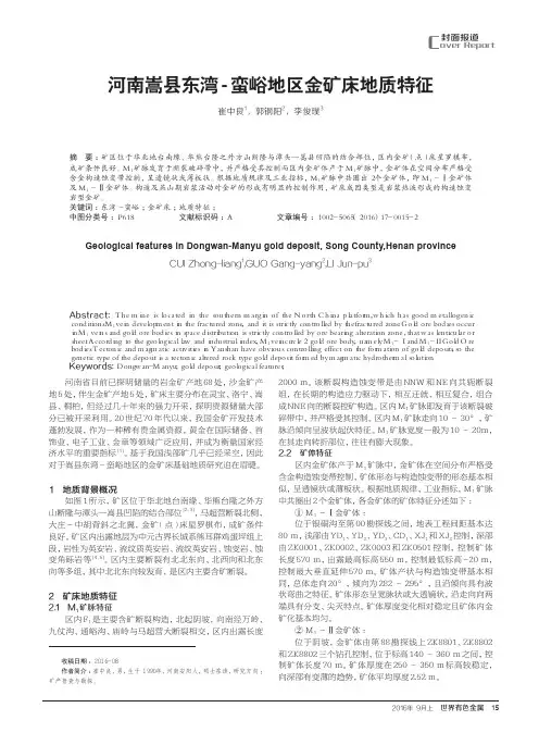 河南嵩县东湾-蛮峪地区金矿床地质特征
