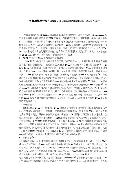 单细胞凝胶电泳(SCGE)技术
