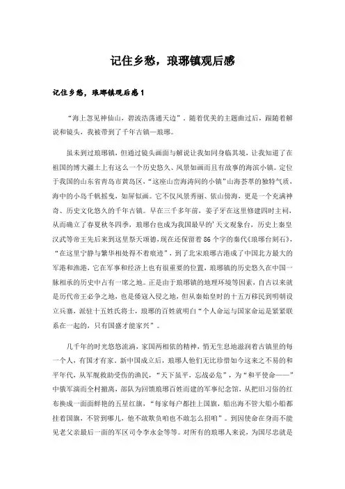 记住乡愁,琅琊镇观后感