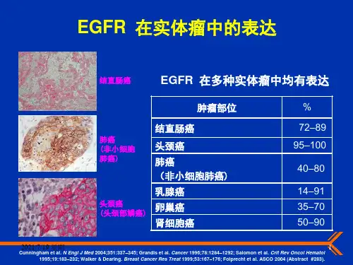 医学专题抗EGFR单克隆抗体在难治性结直肠癌中的作用