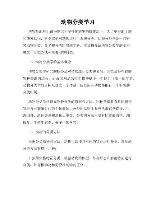 动物分类学习