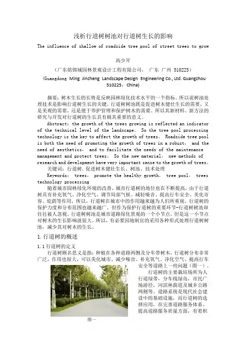 浅析行道树树池管理对树木生长的影响