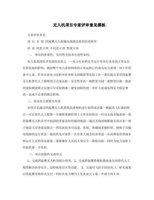 无人机项目专家评审意见模板