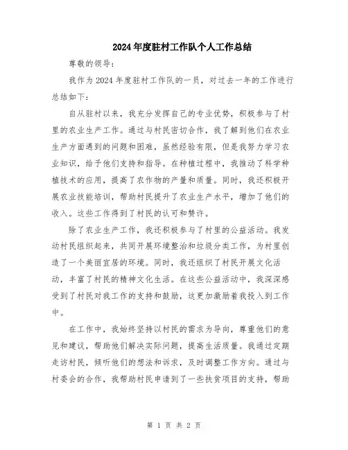 2024年度驻村工作队个人工作总结