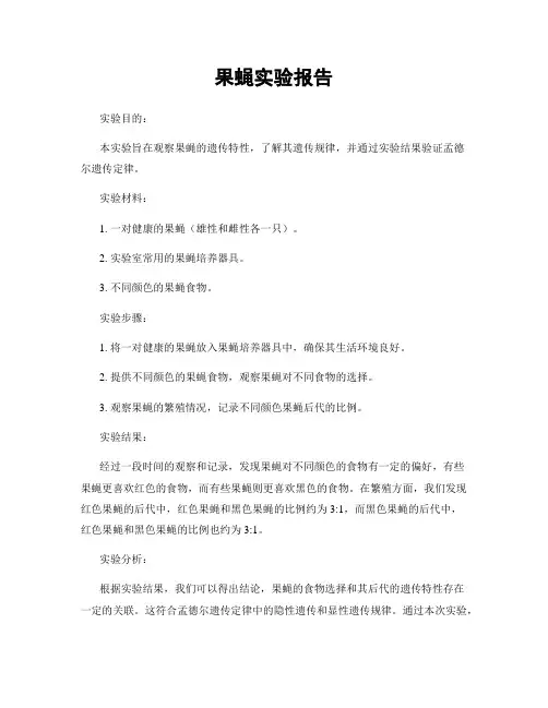 果蝇实验报告
