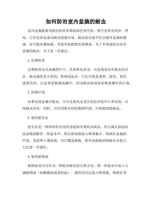 如何防治室内盆栽的蚜虫