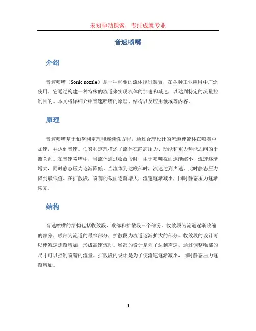 音速喷嘴 (2)