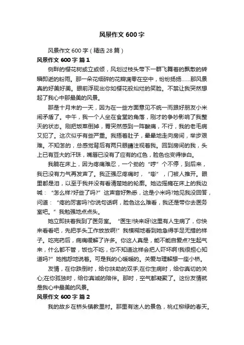 风景作文600字（精选28篇）