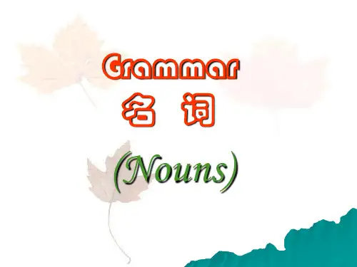 高中英语九大词性分类与用法详解课件：专题02 名词