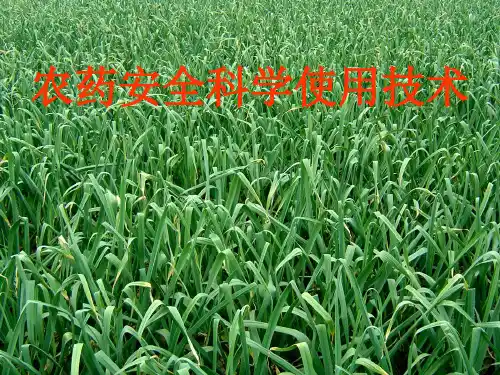 农药安全科学使用技术教材(PPT 98页)