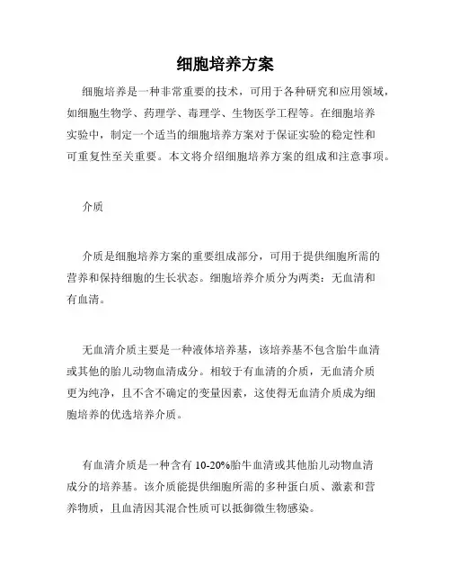 细胞培养方案