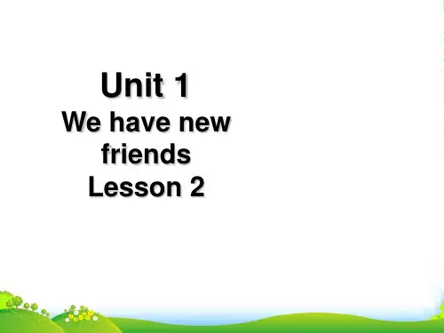 精通版五年级英语上册Unit 1 We have new friends Lesson 2 课件