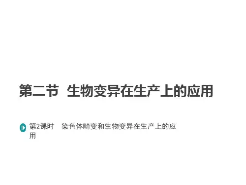 第二节  生物变异在生产上的应用