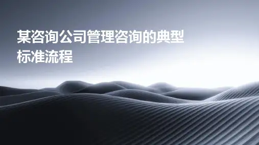 某咨询公司管理咨询的典型标准流程