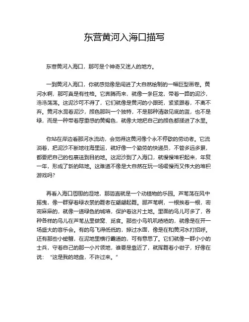 东营黄河入海口描写