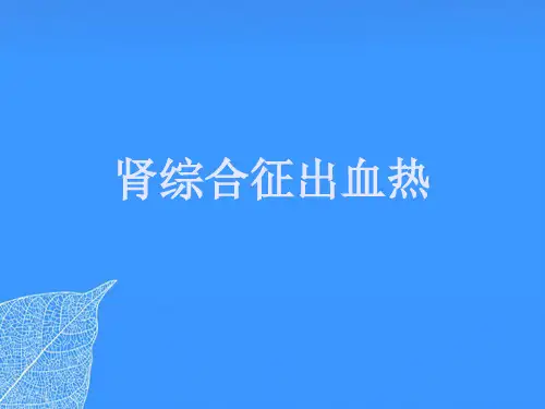【正式版】肾综合征出血热PPT文档