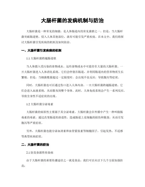 大肠杆菌的发病机制与防治