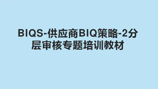 BIQS-供应商BIQ策略-2分层审核专题培训教材