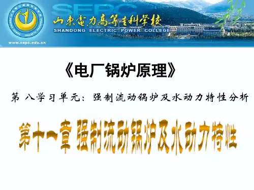 强制流动锅炉及水动力特性分析(2课时)