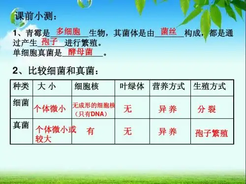 八年级生物《细菌与真菌在自然界中的作用》