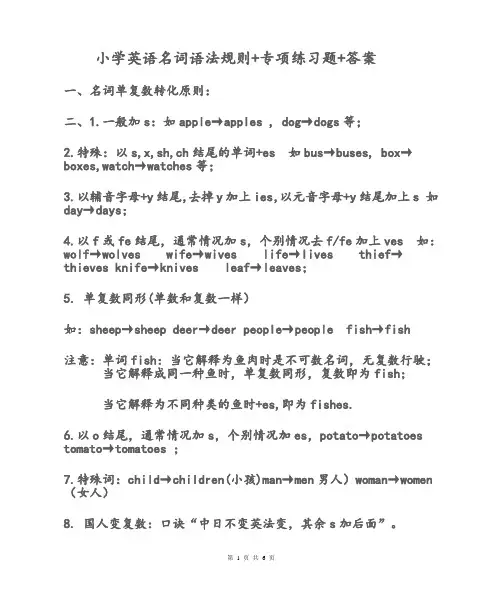 小学英语普通特殊名词语法规则及专项练习附答案
