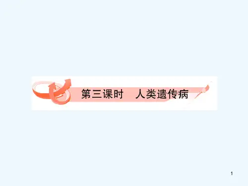 高三生物复习第五章人类遗传病课件